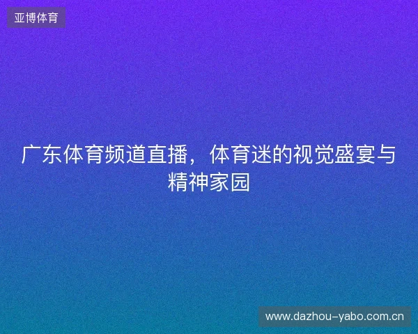 广东体育频道直播，体育迷的视觉盛宴与精神家园